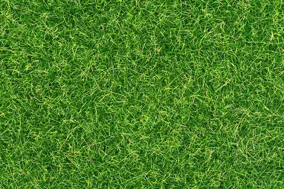 oasis turf de Artegrass.cl